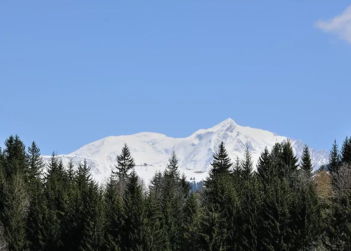 Le Prariand - Chalet Megève